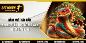 Nằm Mơ Thấy Rắn - Những Bí Ẩn Từ Giấc Mơ Và Ý Nghĩa Tâm Linh